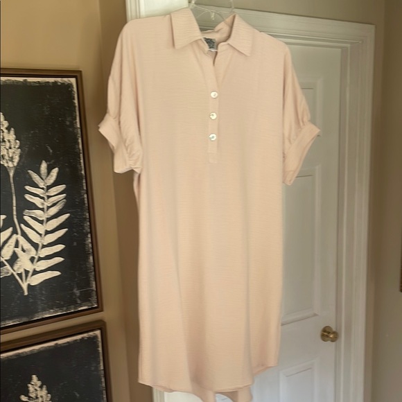 ivy jane Dresses & Skirts - Ivy Jane Blush Button Down Shirt Dress